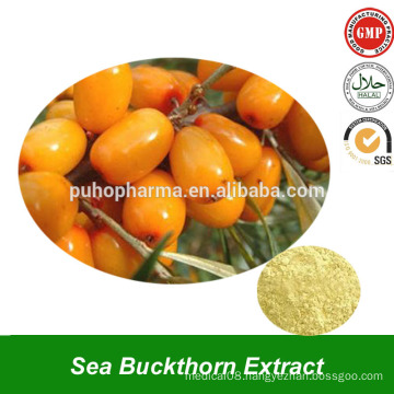 Sea Buckthorn Fruit or Berry Extract Powder Extract from Sea Buckthorn Plant